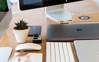 TL下路双人组表现稳定，lol下路双人组